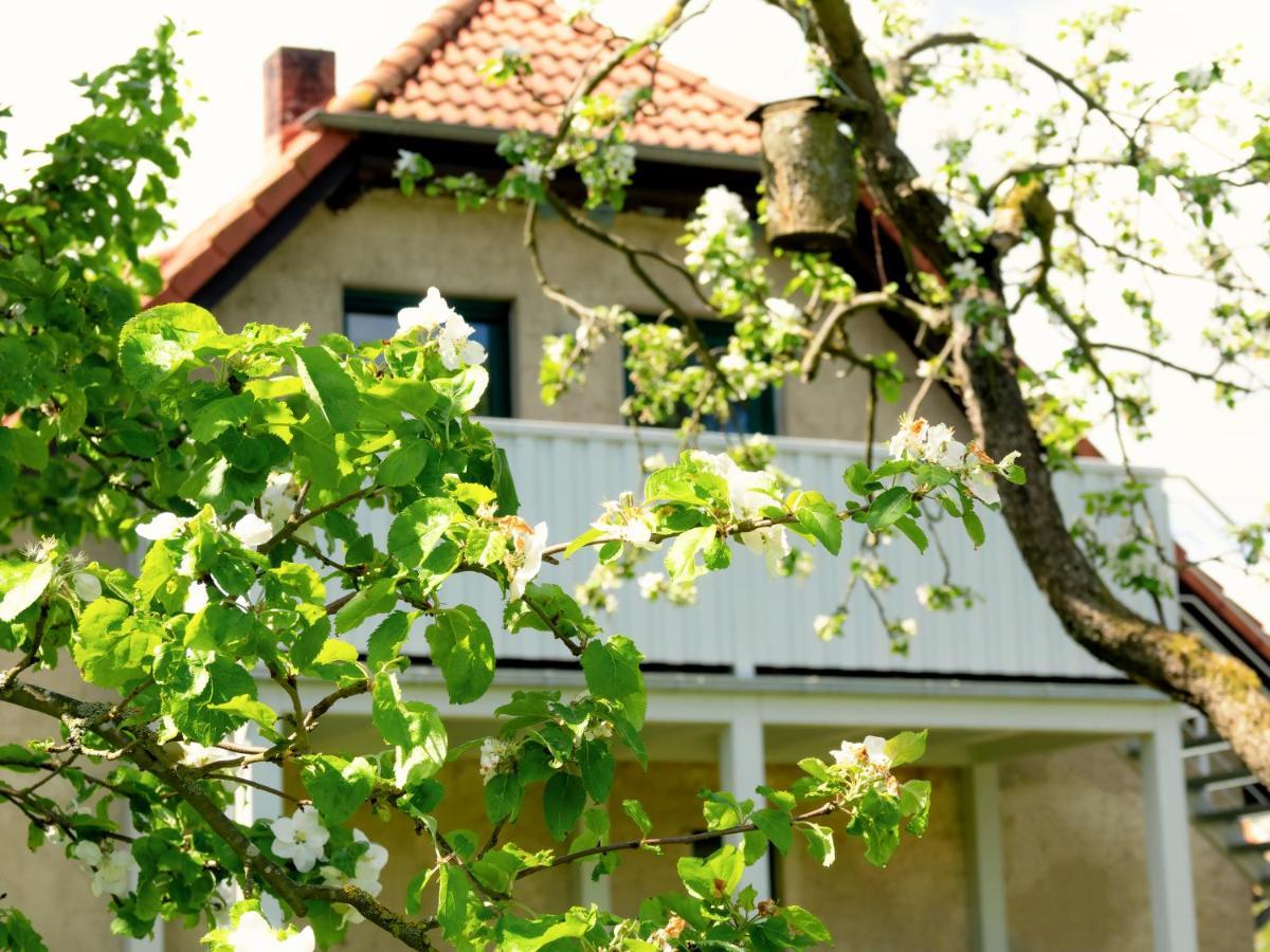 Ferienwohnung Rohlffs Stolpe Auf Usedom Exterior photo